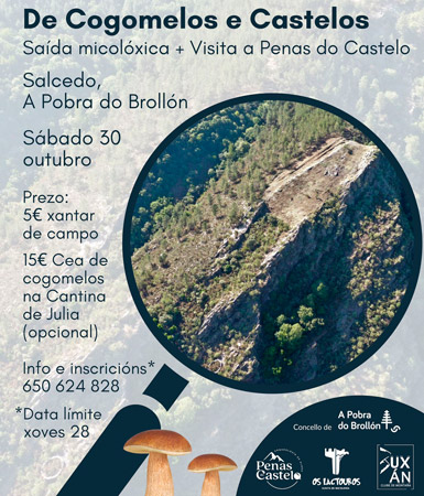 xornadas