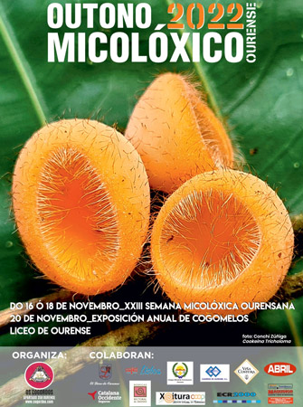 Cgordos