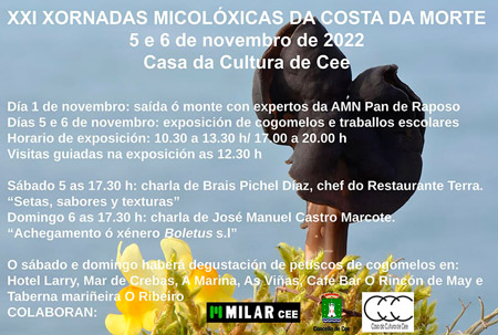 Conxo