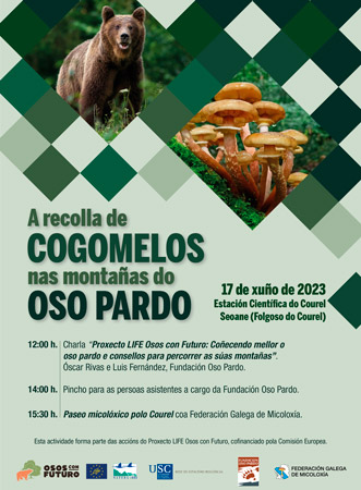 xornadas