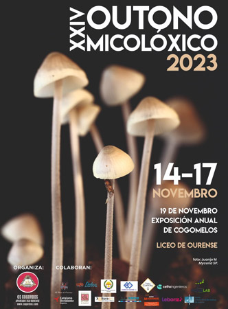 Outono Micolóxico