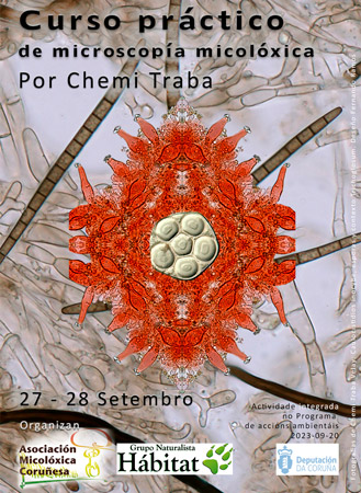 Curso Microscopía