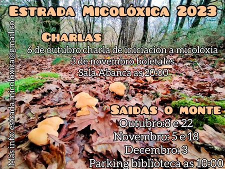 Estrada Micolóxica