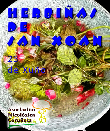 Herbiñas San Xoan
