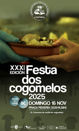 Outono Micolóxico