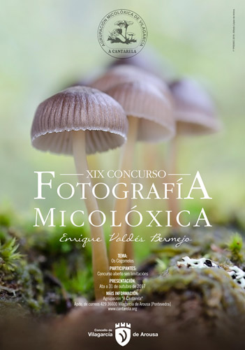 XIXconcurso