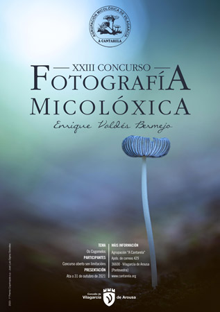 XIXconcurso