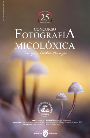 XIXconcurso