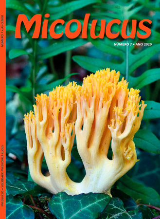 Micolucus 7