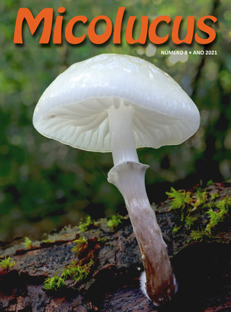 Micolucus 7
