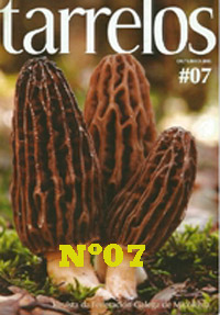 Tarrelos Nº 07