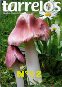 Tarrelos Nº 12