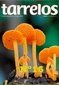 Tarrelos Nº 16