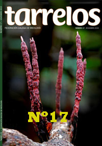 Tarrelos Nº 17