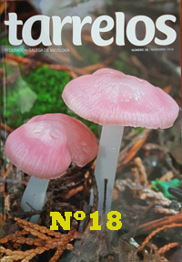 Tarrelos nº 18