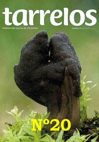 Tarrelos nº 20