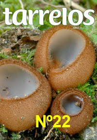 Tarrelos Nº 22