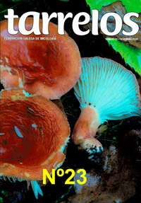 Tarrelos Nº 23