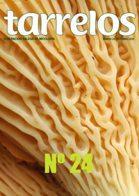 Tarrelos nº24